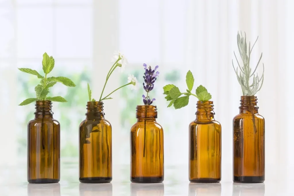 Essential Oil Simplified: Benefits, Best Oils, and Tips for Application